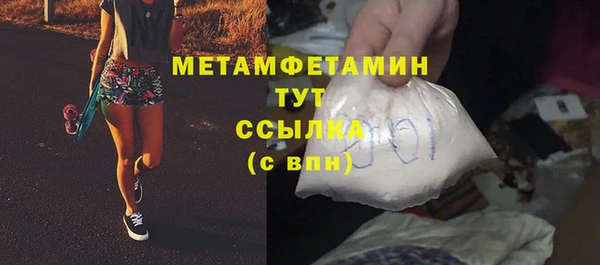 индика Осинники