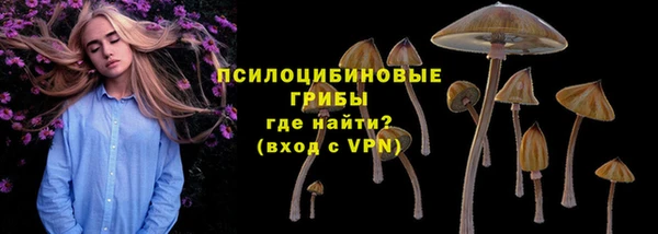 дживик Алексеевка