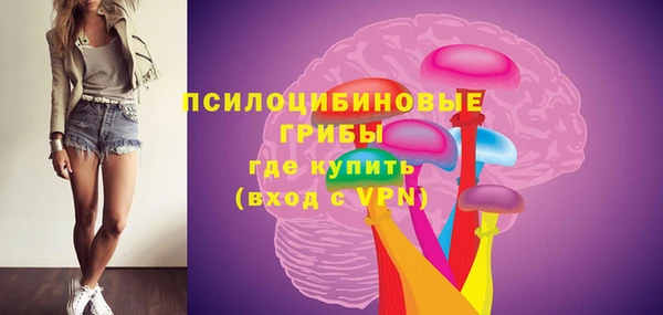 дживик Алексеевка