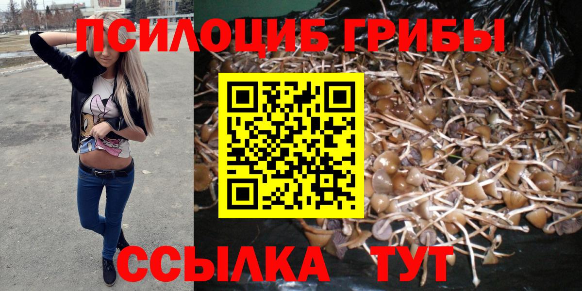 Галлюциногенные грибы MAGIC MUSHROOMS  Галлюциногенные грибы Cubensis  Вход с VPN  Старая Русса 