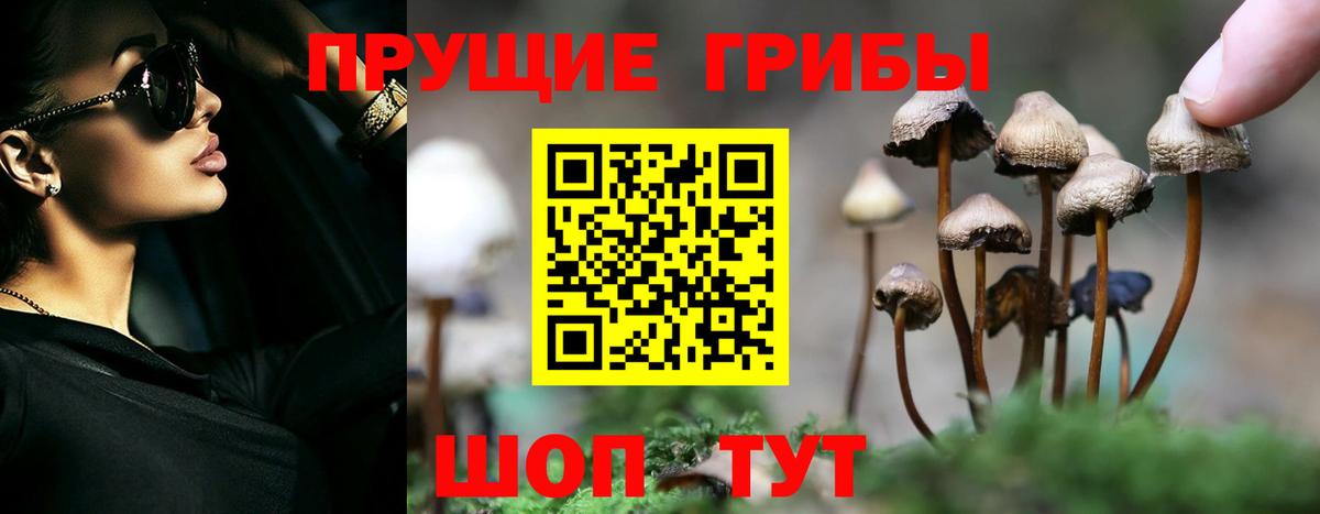 Псилоцибиновые грибы мухоморы Старая Русса